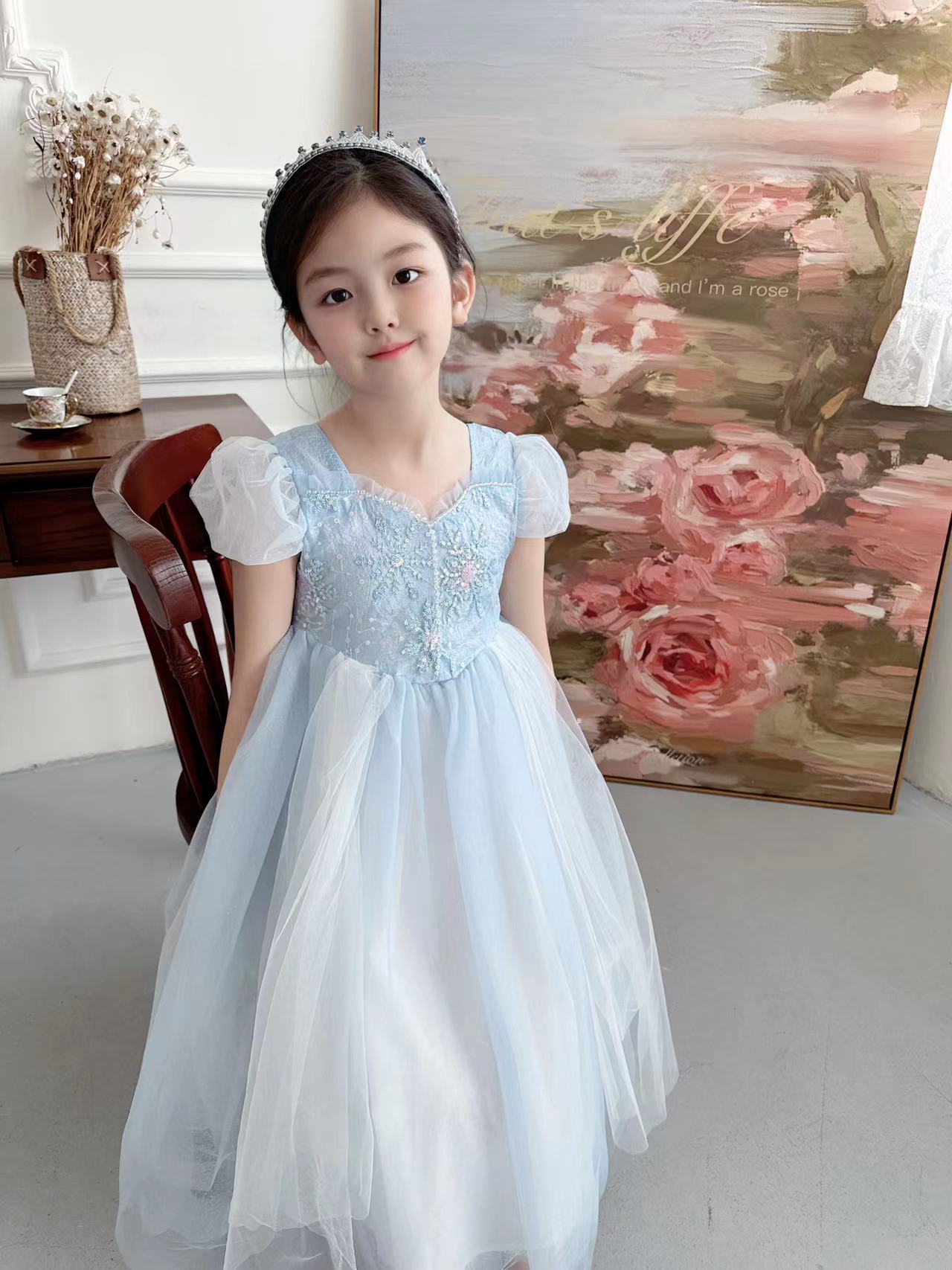 Embroidered Elsa Girls Dress f - Baby Clothing Dresser review and price