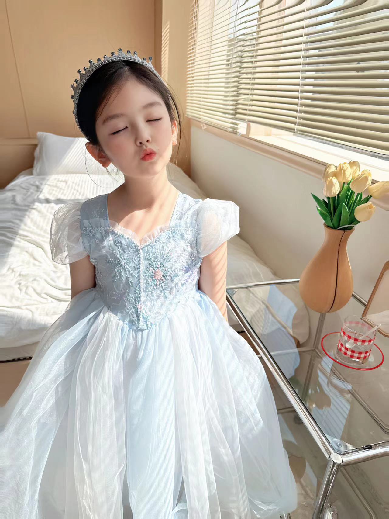 Embroidered Elsa Girls Dress f - Baby Clothing Dresser review and price